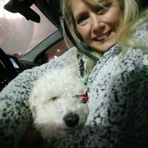 Meet your Posher, Dawn